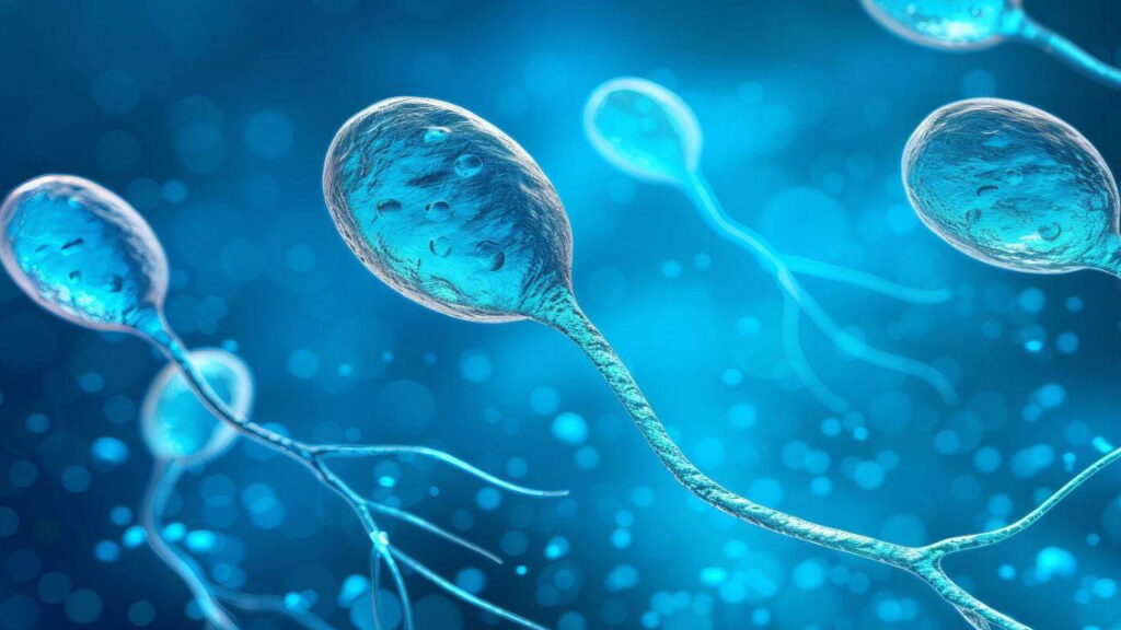 stres-hic-bilinmeyen-o-hastaligi-tetikliyor-erkek-kisirliginda-gozden-kacan-hormonal-gercek-3kg4zHXG