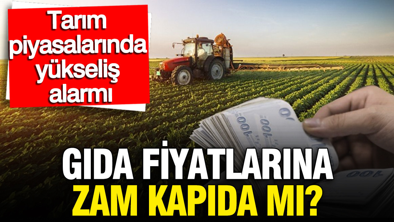 Gıda Fiyatları Yeniden Yükseliyor: Buğday, Gübre ve Pirinçte Artış Alarmı
