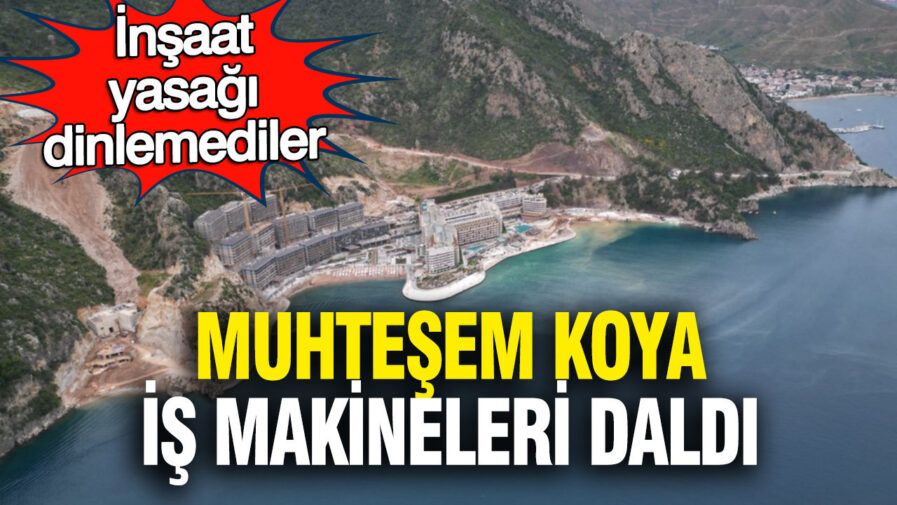 Kıyıdaki Doğa Katliamı: İş Makineleri Muhteşem Koyda