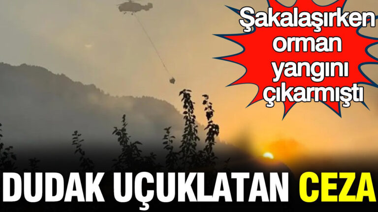 sakalasirken-orman-yangini-cikarmisti-dudak-ucuklatan-ceza-p6UtNtlJ